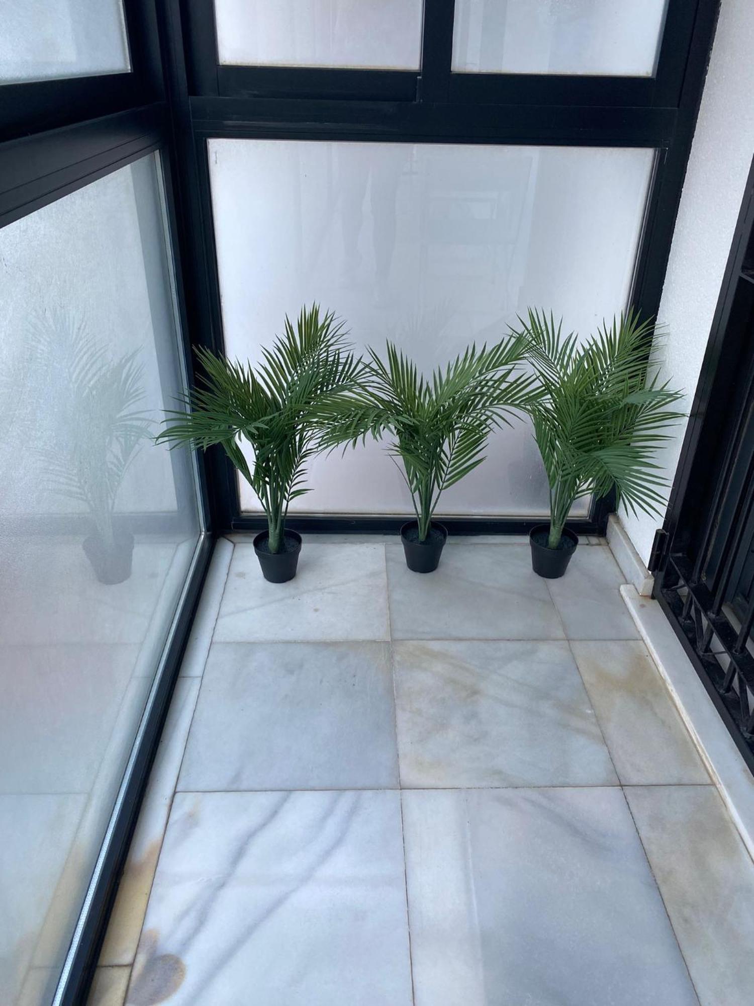 Apartamento Carvajal Beach Fuengirola Quarto foto